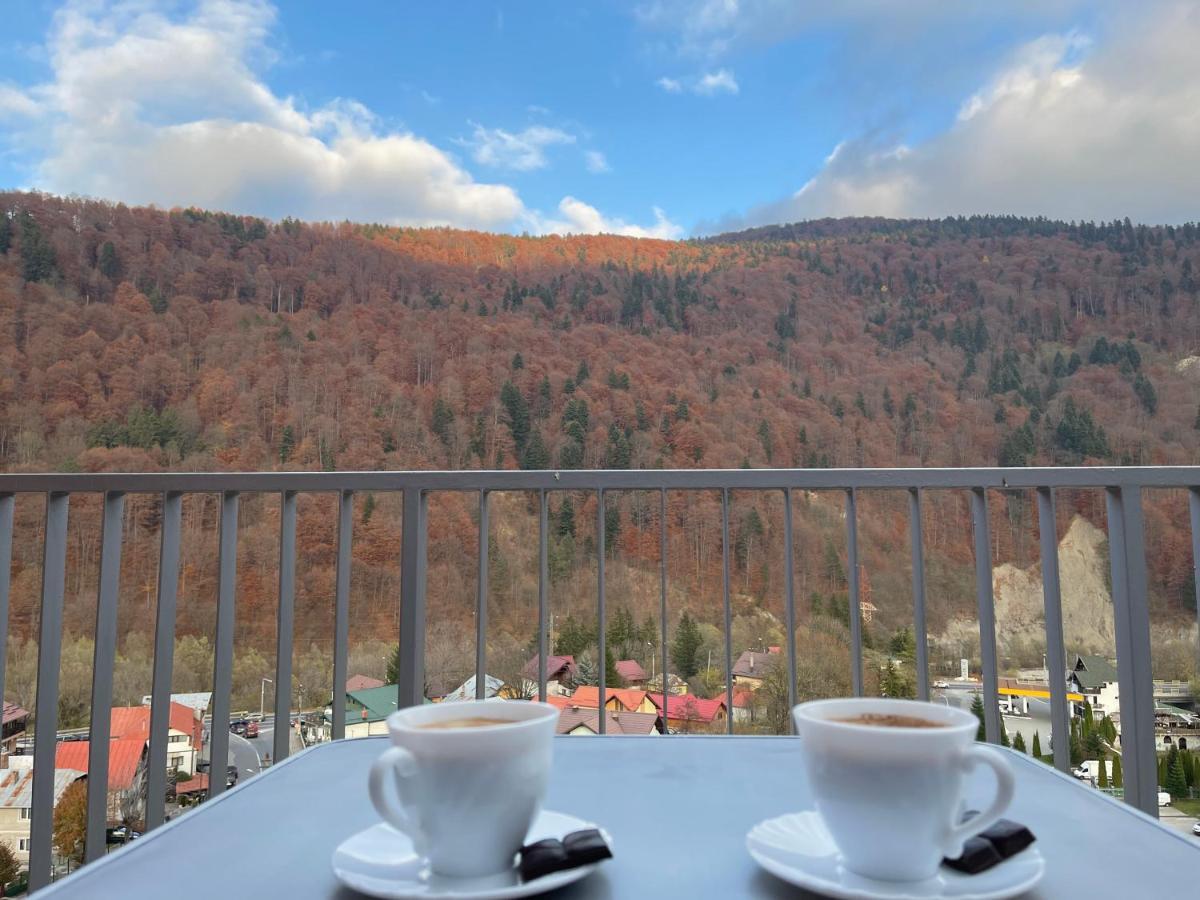 Viewapart Sinaia Kültér fotó